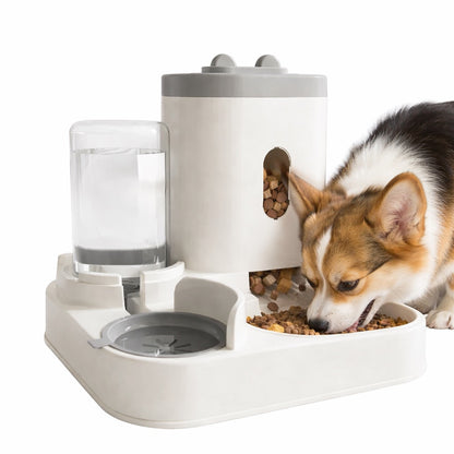 Automatic Pet Feeder with Water Fountain